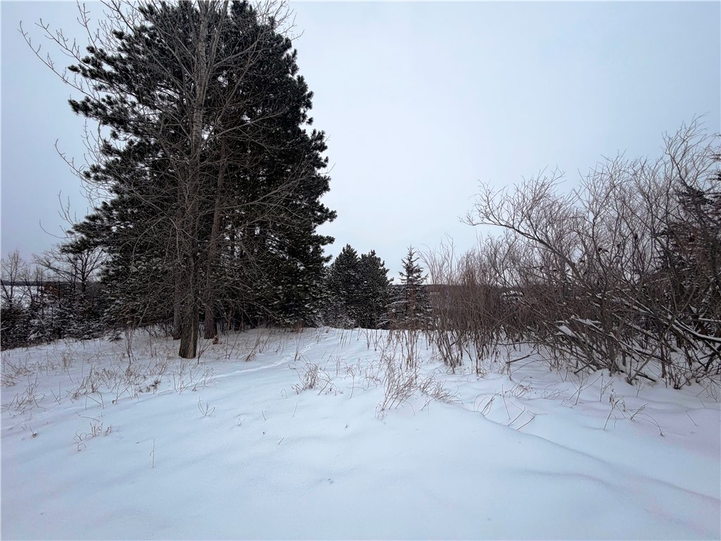 1339 Birch Park Ridge Houlton WI 54082 1597489 image1