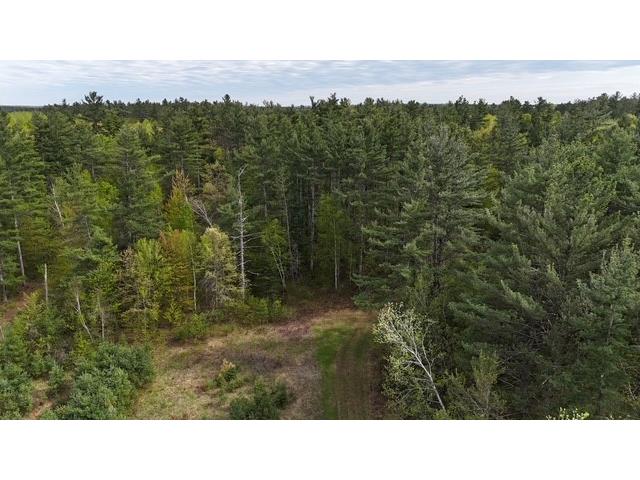 13550 W Froemel Road Hayward WI 54843 1591917 image34