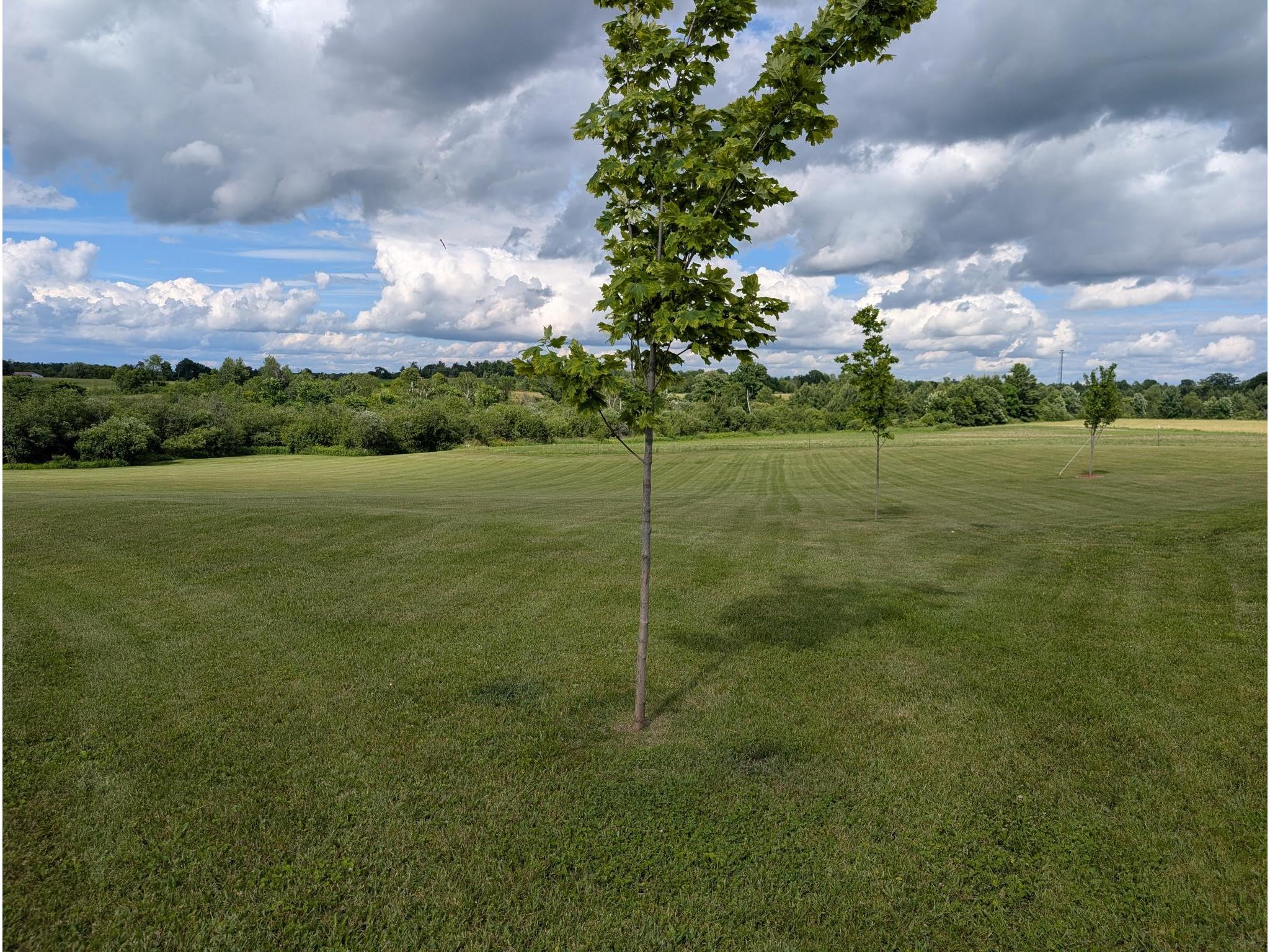 1356 14th Street Turtle Lake WI 54889 1599874 image46