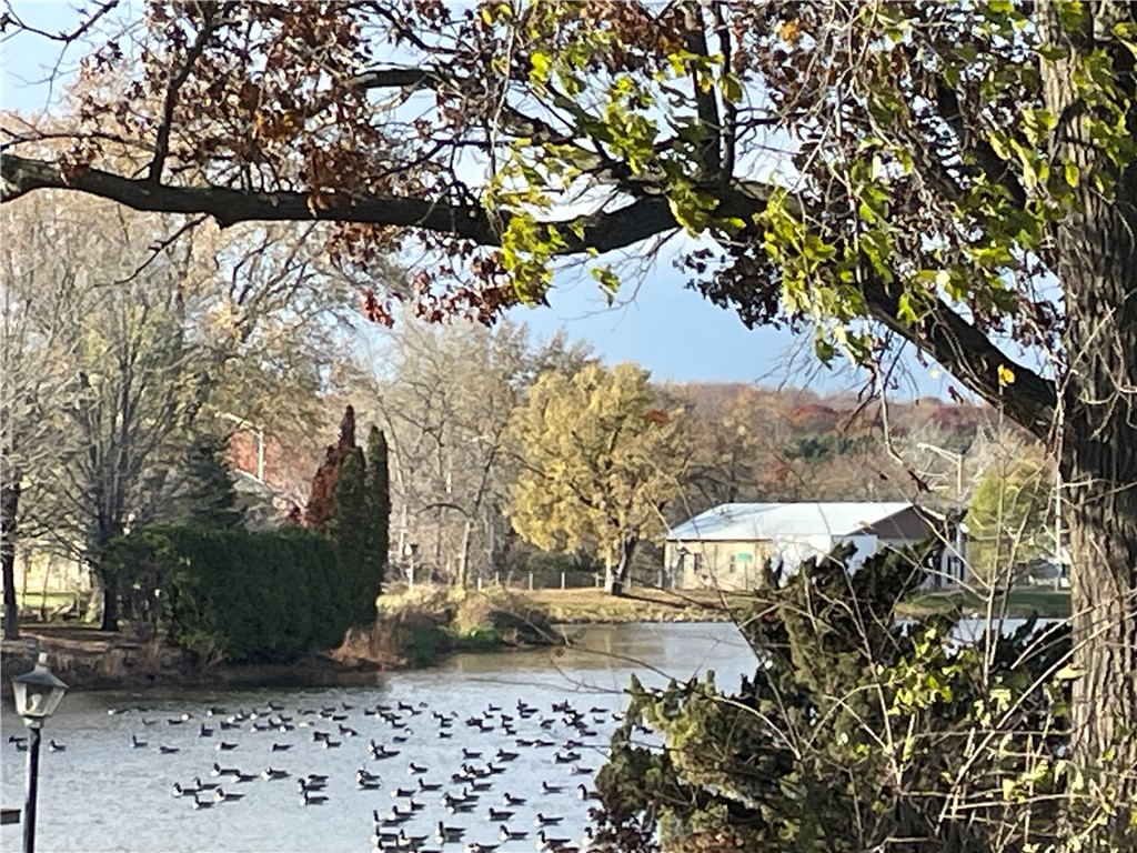 13606 Park Avenue Osseo WI 54758 - Lake Martha 1598413 image43