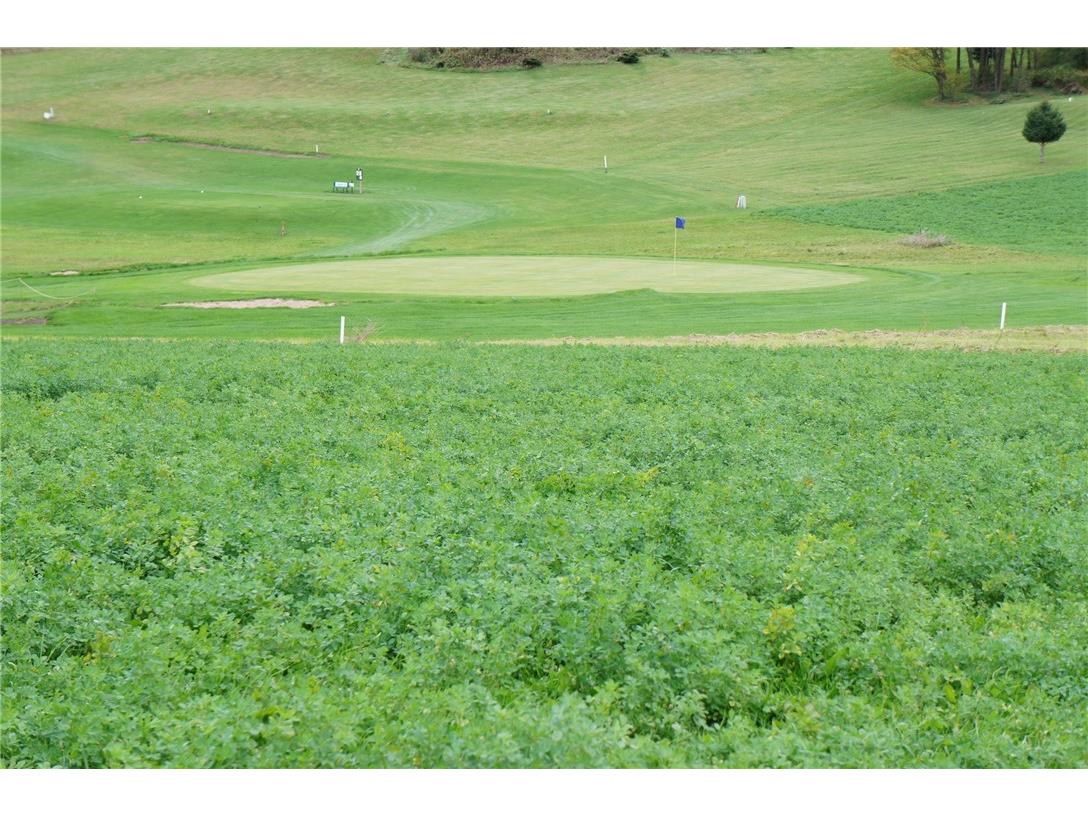 1361 Valley Estates Road Mondovi WI 54755 1596654 image2