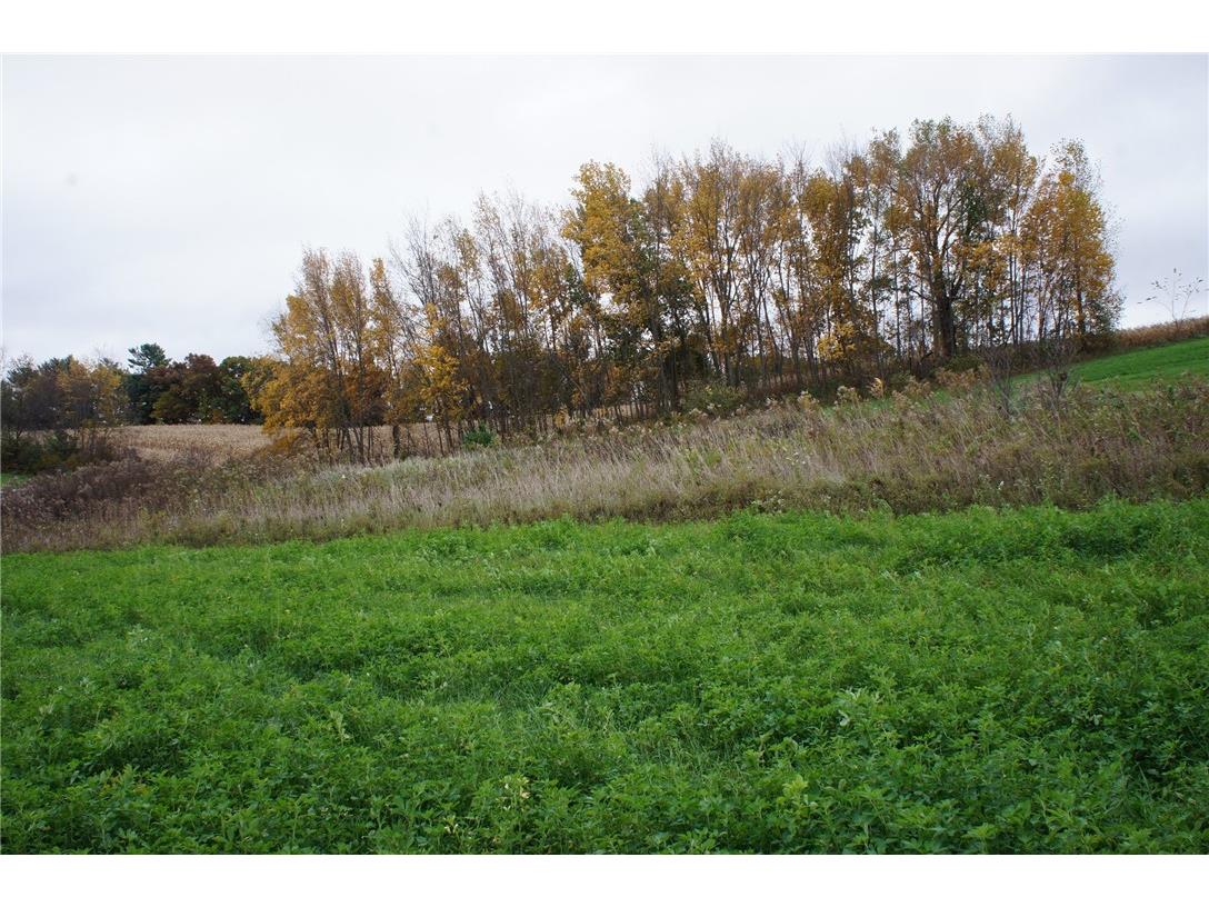 1361 Valley Estates Road Mondovi WI 54755 1596654 image8