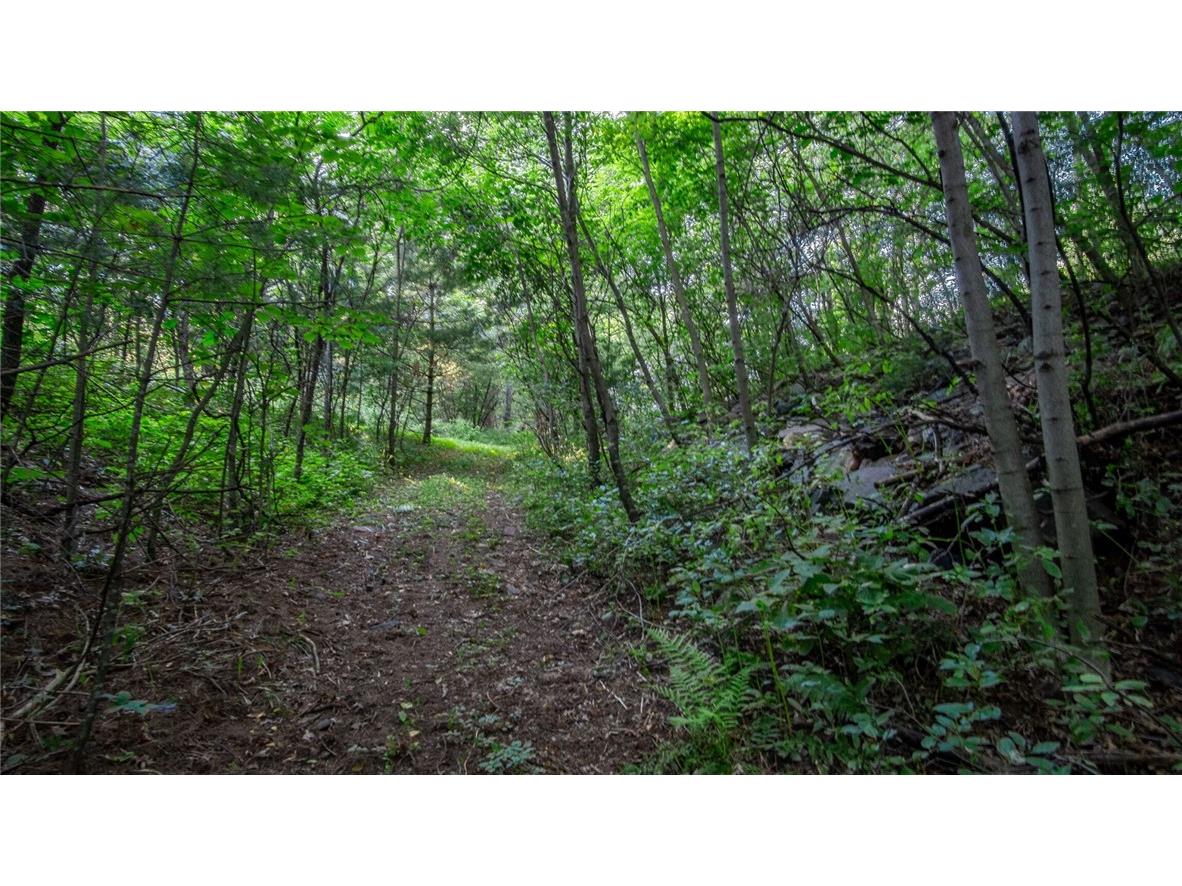 13719 191st Street Chippewa Falls WI 54729 - Wissota 1586357 image11