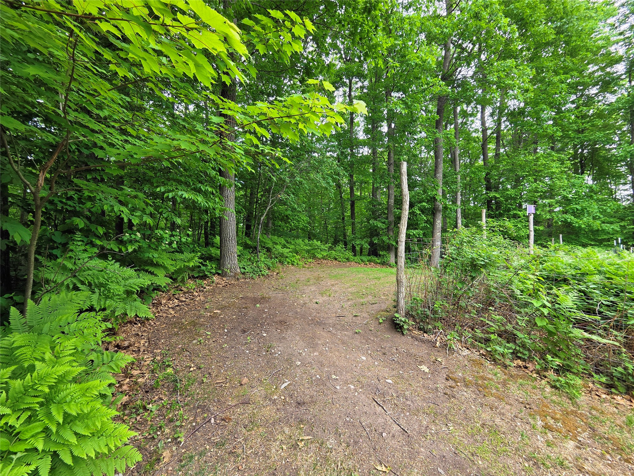 1388 W Town Hall Road Springbrook WI 54875 1599662 image54