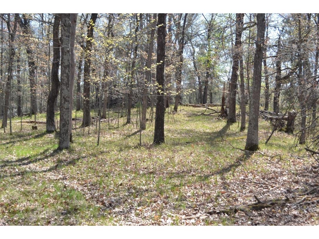 1391 Dock Lake Road Spooner WI 54801 - Bass Lake 1591501 image22