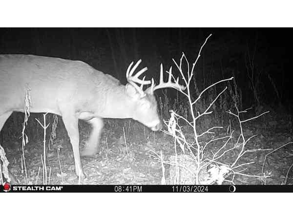 1395 Us Highway 8 Amery WI 54001 1594848 image36