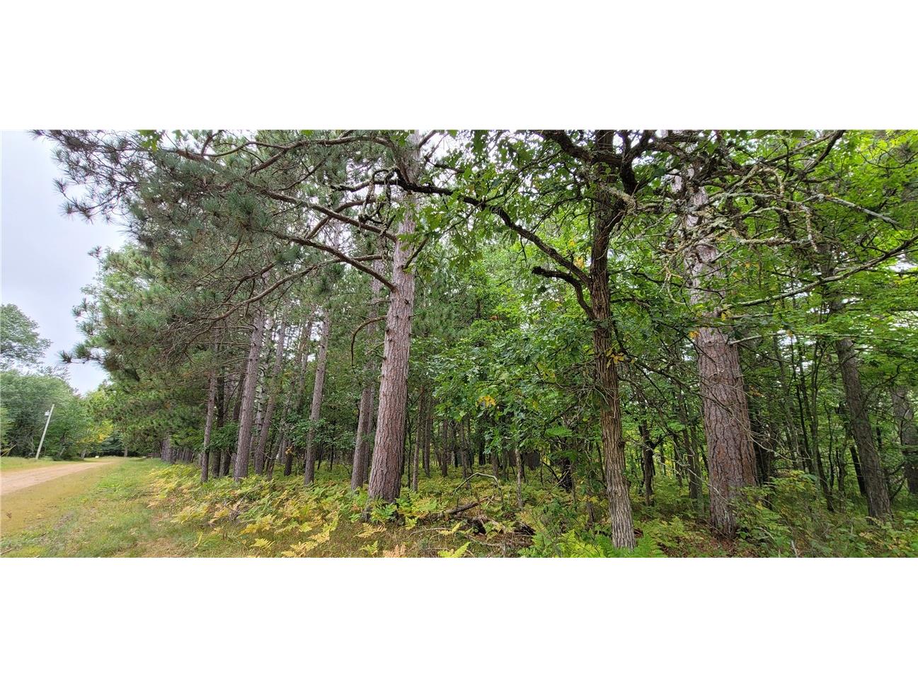 13953 E Wolf Drive Gordon WI 54838 - Eau Claire Lake 1595554 image10