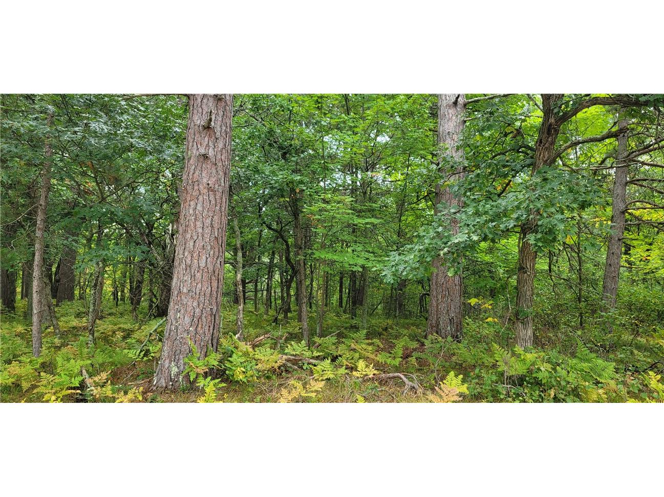 13953 E Wolf Drive Gordon WI 54838 - Eau Claire Lake 1595554 image12