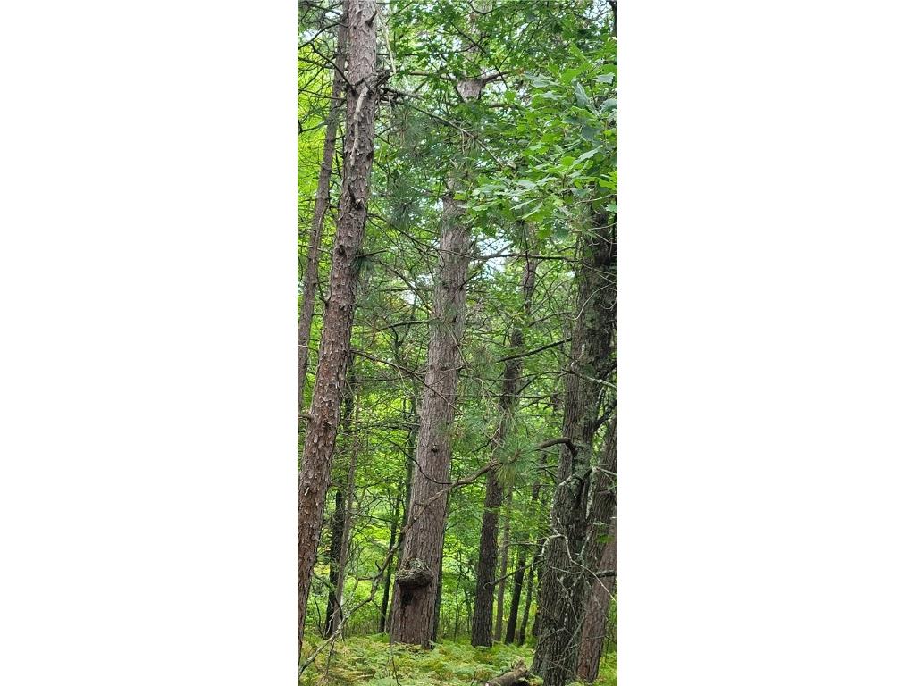 13953 E Wolf Drive Gordon WI 54838 - Eau Claire Lake 1595554 image13