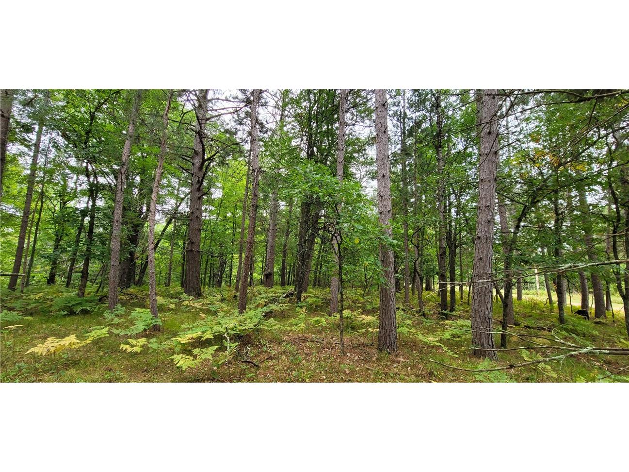 13953 E Wolf Drive Gordon WI 54838 - Eau Claire Lake 1595554 image14