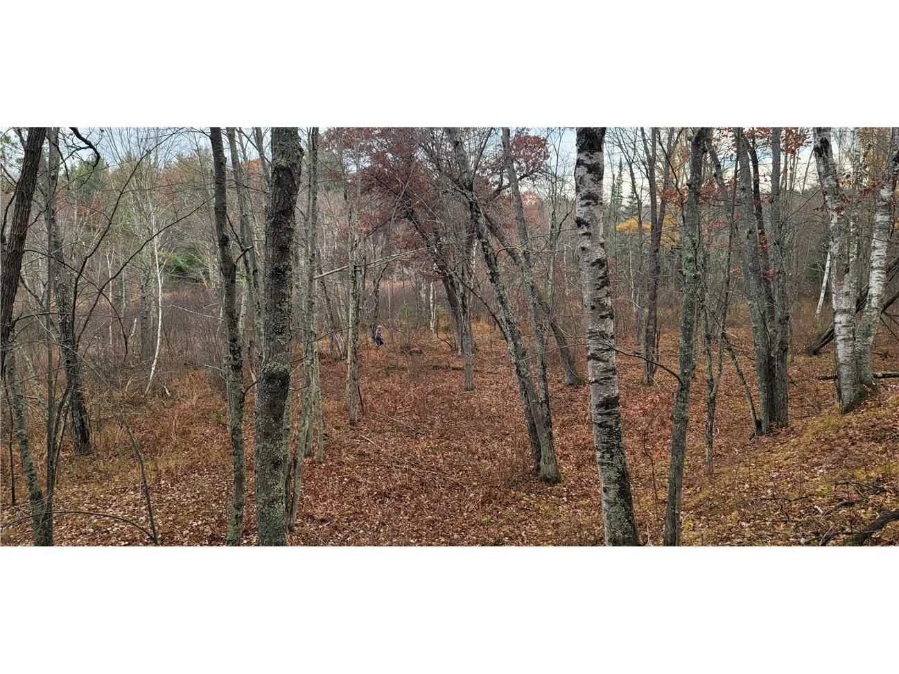 13953 E Wolf Drive Gordon WI 54838 - Eau Claire Lake 1595554 image22