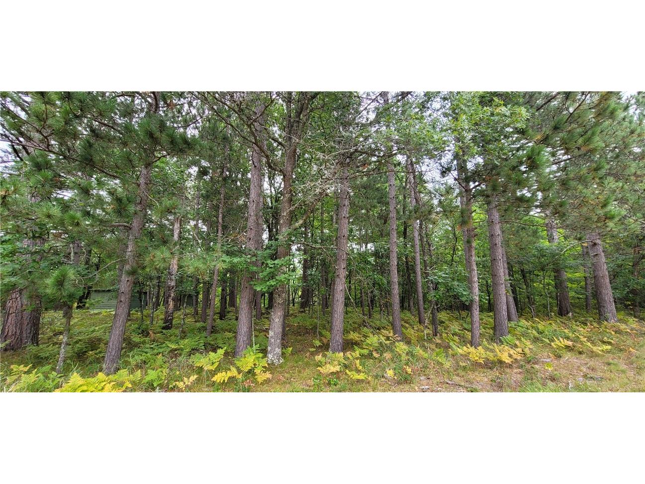 13953 E Wolf Drive Gordon WI 54838 - Eau Claire Lake 1595554 image8