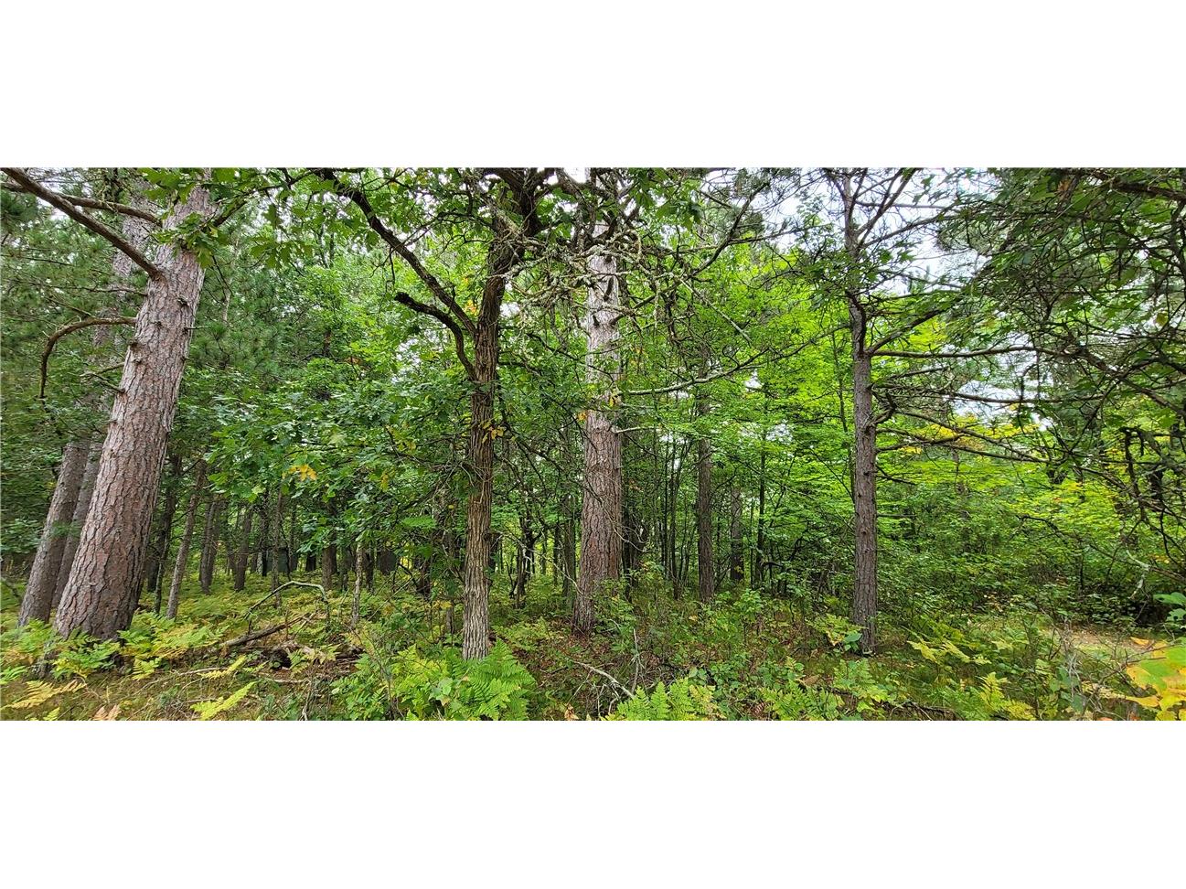 13953 E Wolf Drive Gordon WI 54838 - Eau Claire Lake 1595554 image9