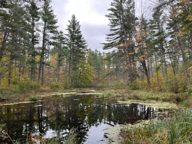 13XXX State Highway 77 Hayward WI 54843 - Mosquito Brook 1577631 image1