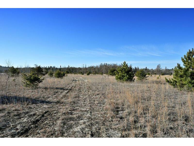 14.97 Acres Hwy 63 Hayward WI 54843 1589232 image1