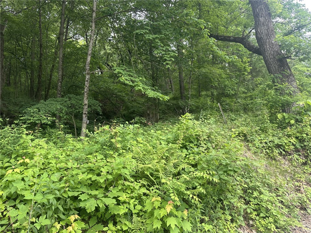 1404 Silver Mine Drive Eau Claire WI 54703 1591438 image14