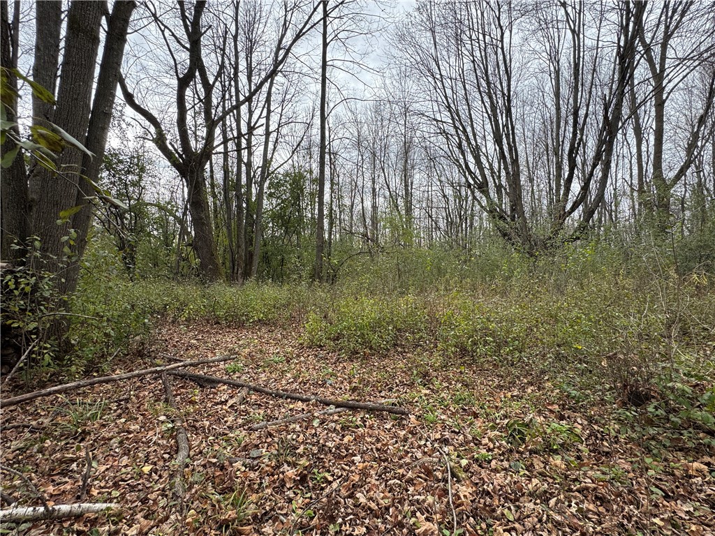 1410 Agnes Avenue Ladysmith WI 54848 1596939 image1