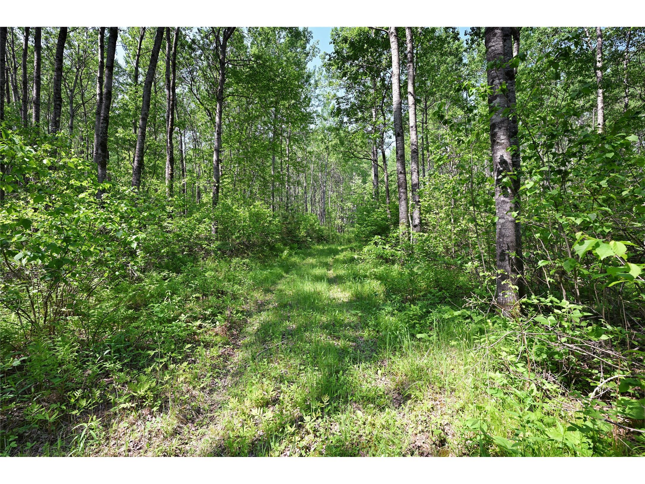 14195 County Highway M Cable WI 54821 1600826 image8