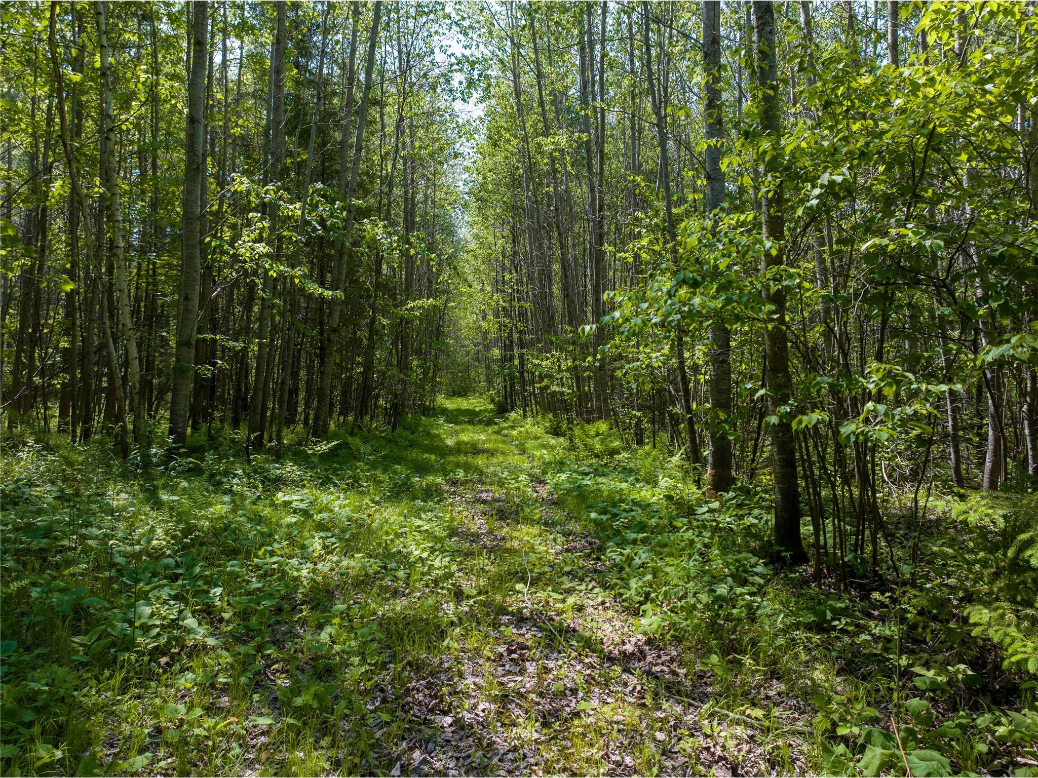 14199 County Highway M Cable WI 54821 1600845 image5