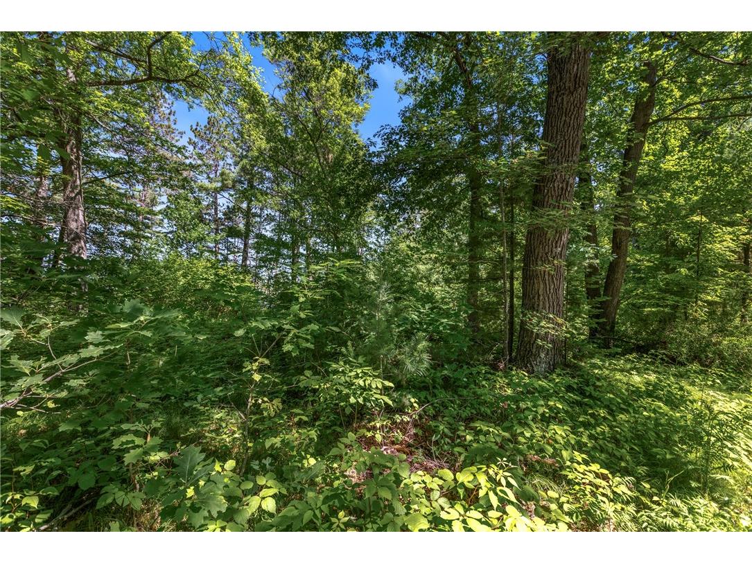 14288 W Poplar Lane Hayward WI 54843 - Grindstone Lake 1593014 image5