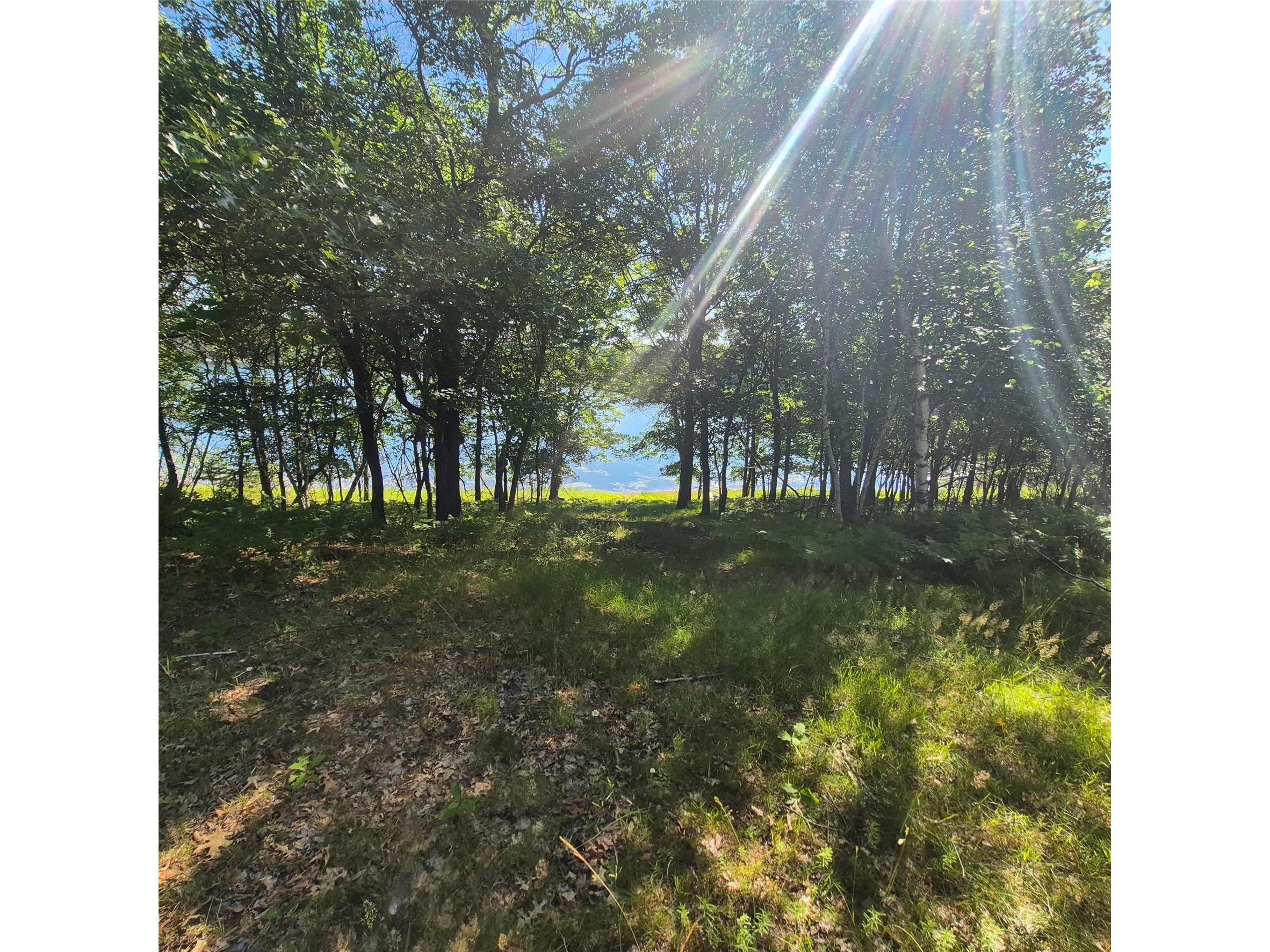 1430 Broken Arrow Trail Solon Springs WI 54873 - George Lake 1602898 image8