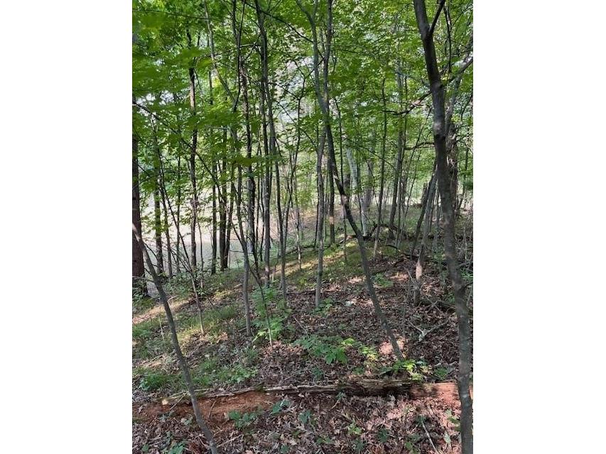 14405 255th Avenue New Auburn WI 54757 1597221 image5