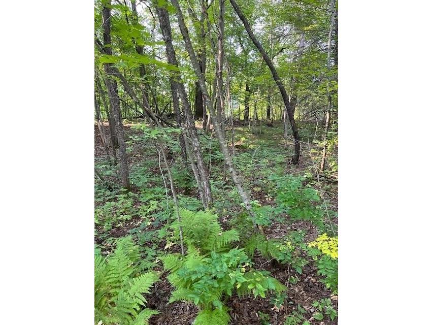 14405 255th Avenue New Auburn WI 54757 1597221 image6