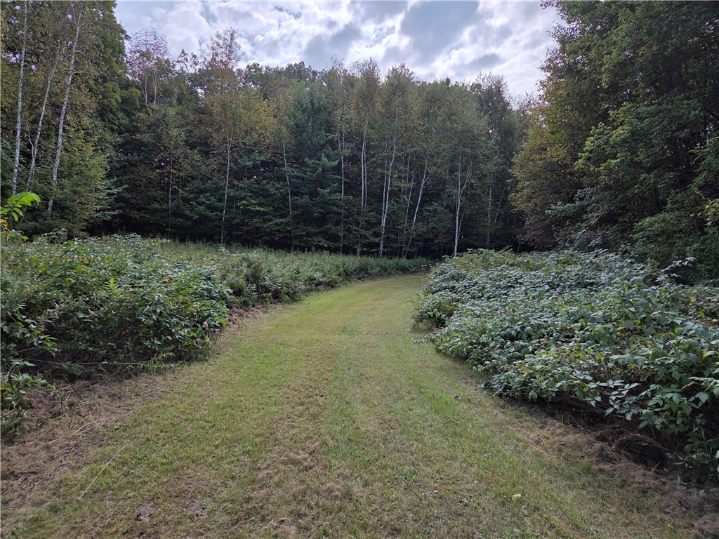 1449 3 1/2 Avenue Dallas WI 54733 1595607 image42