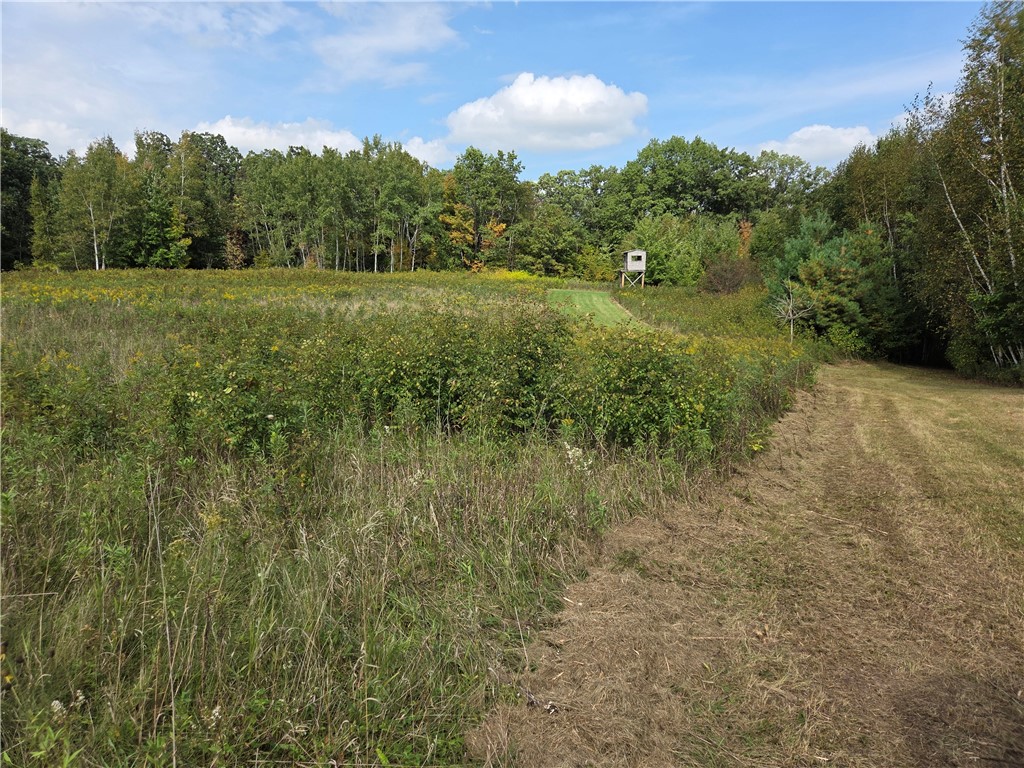 1449 3 1/2 Avenue Dallas WI 54733 1595607 image43