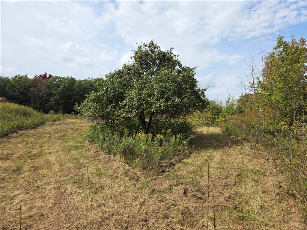 1449 3 1/2 Avenue Dallas WI 54733 1595607 image44