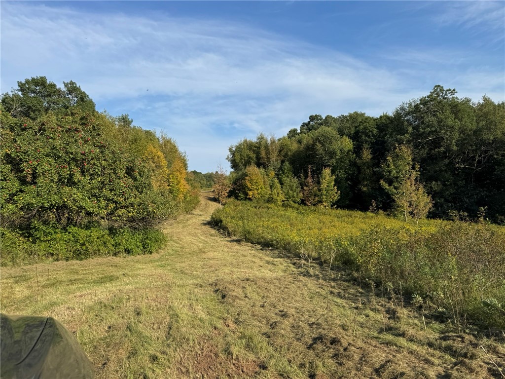 1449 3 1/2 Avenue Dallas WI 54733 1595607 image46