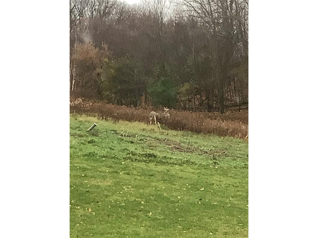 1449 3 1/2 Avenue Dallas WI 54733 1595607 image48