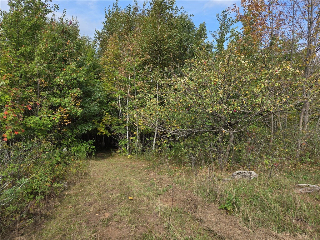 1449 3 1/2 Avenue Dallas WI 54733 1595607 image49