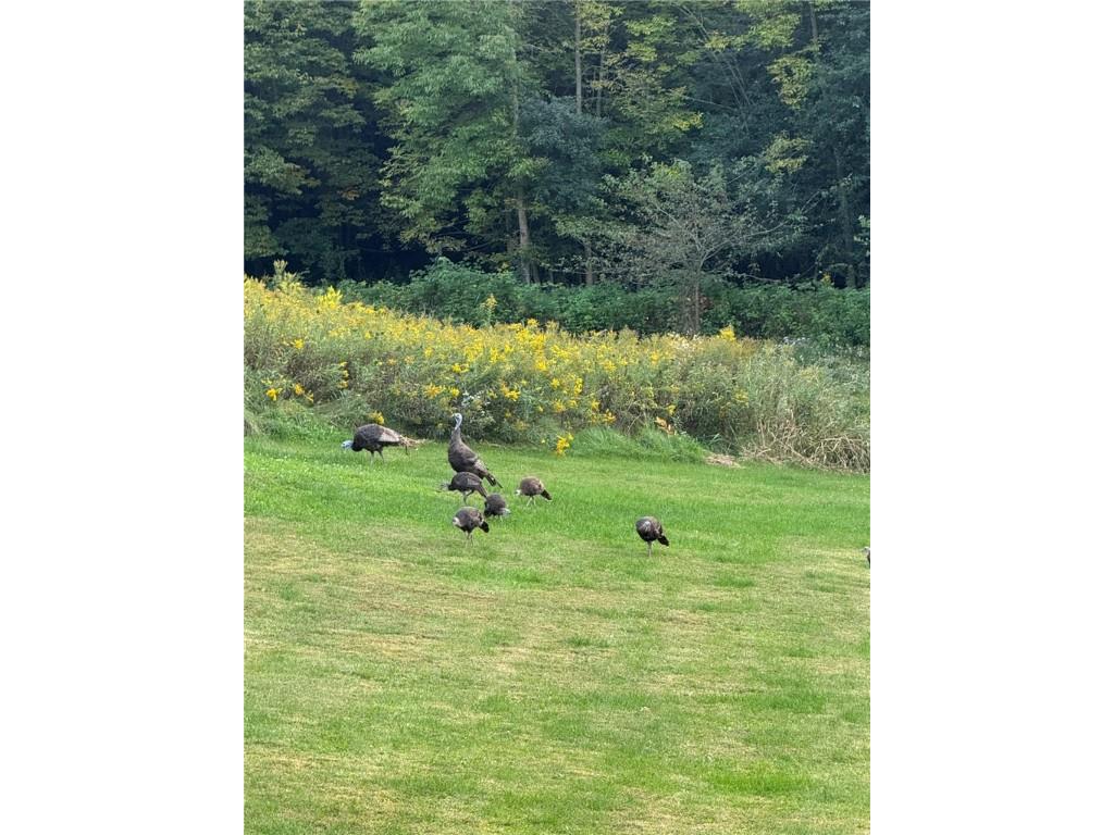 1449 3 1/2 Avenue Dallas WI 54733 1595607 image50