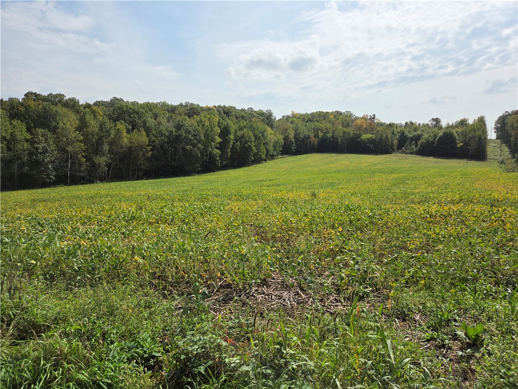 1449 3 1/2 Avenue Dallas WI 54733 1595607 image51