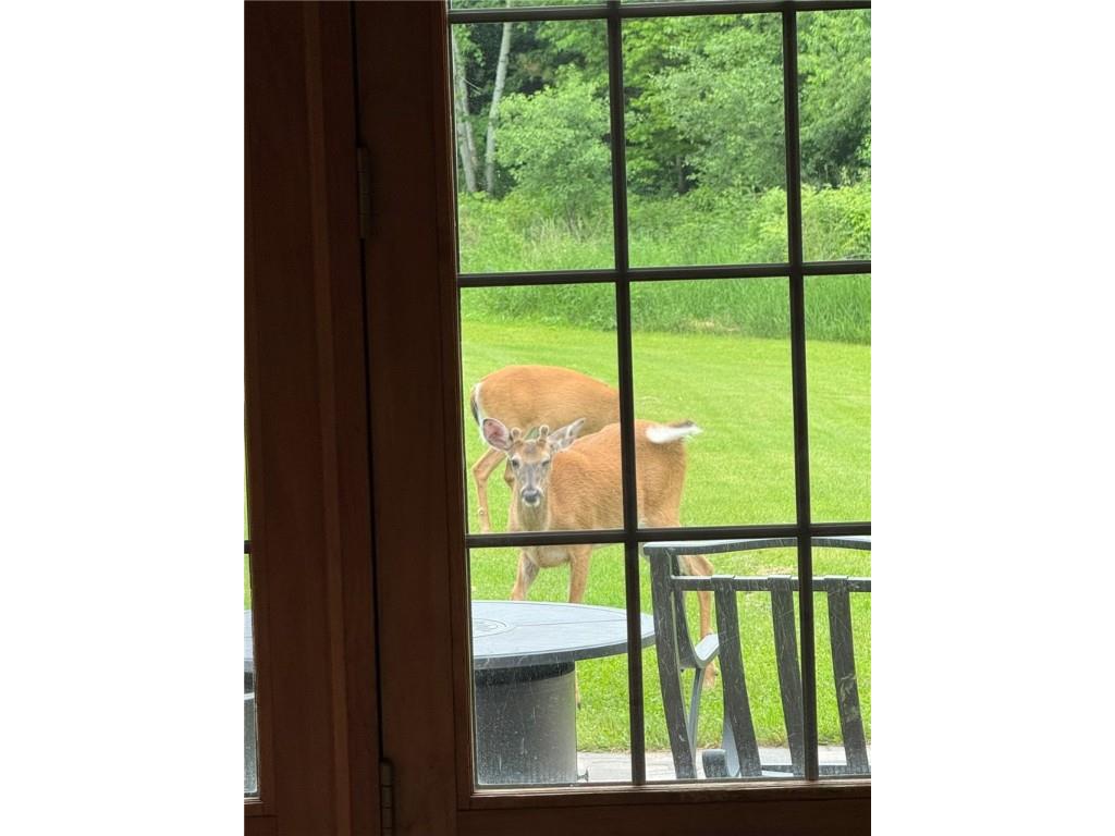 1449 3 1/2 Avenue Dallas WI 54733 1595607 image52