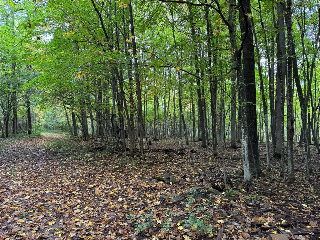 1449 3 1/2 Avenue Dallas WI 54733 1595607 image53