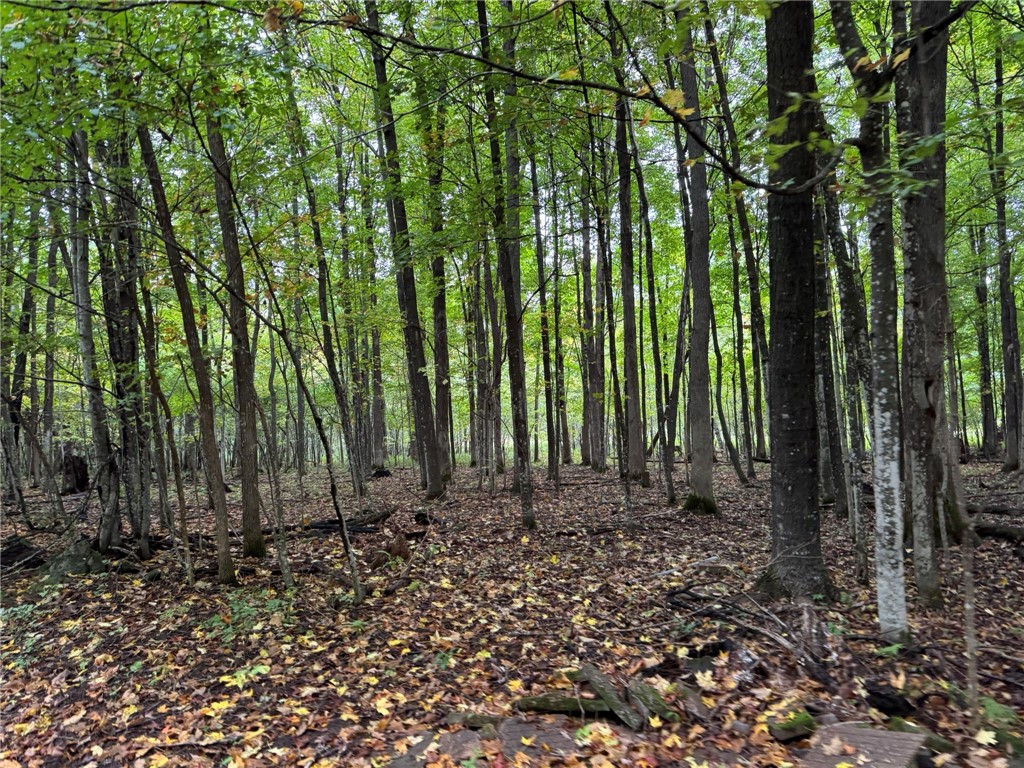 1449 3 1/2 Avenue Dallas WI 54733 1595607 image54