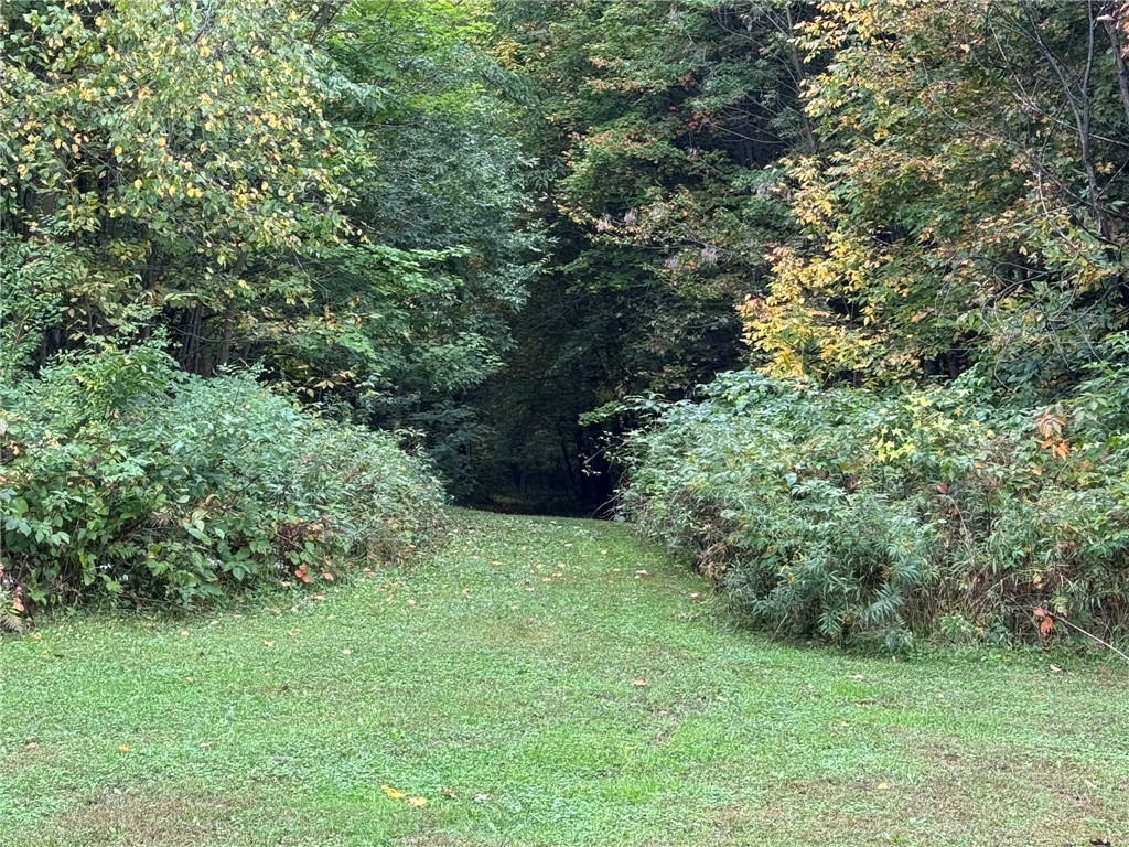 1449 3 1/2 Avenue Dallas WI 54733 1595607 image55