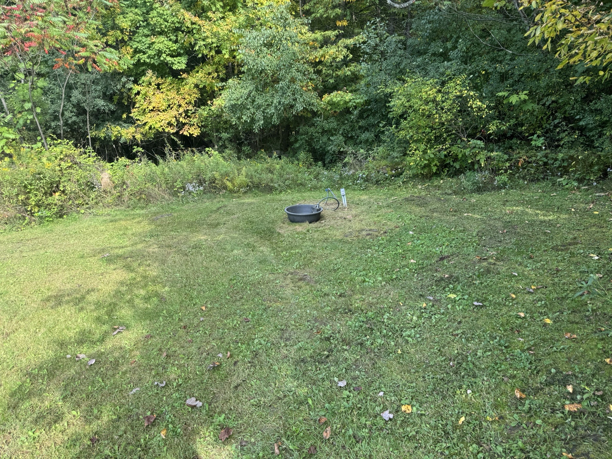1449 3 1/2 Avenue Dallas WI 54733 1601725 image10