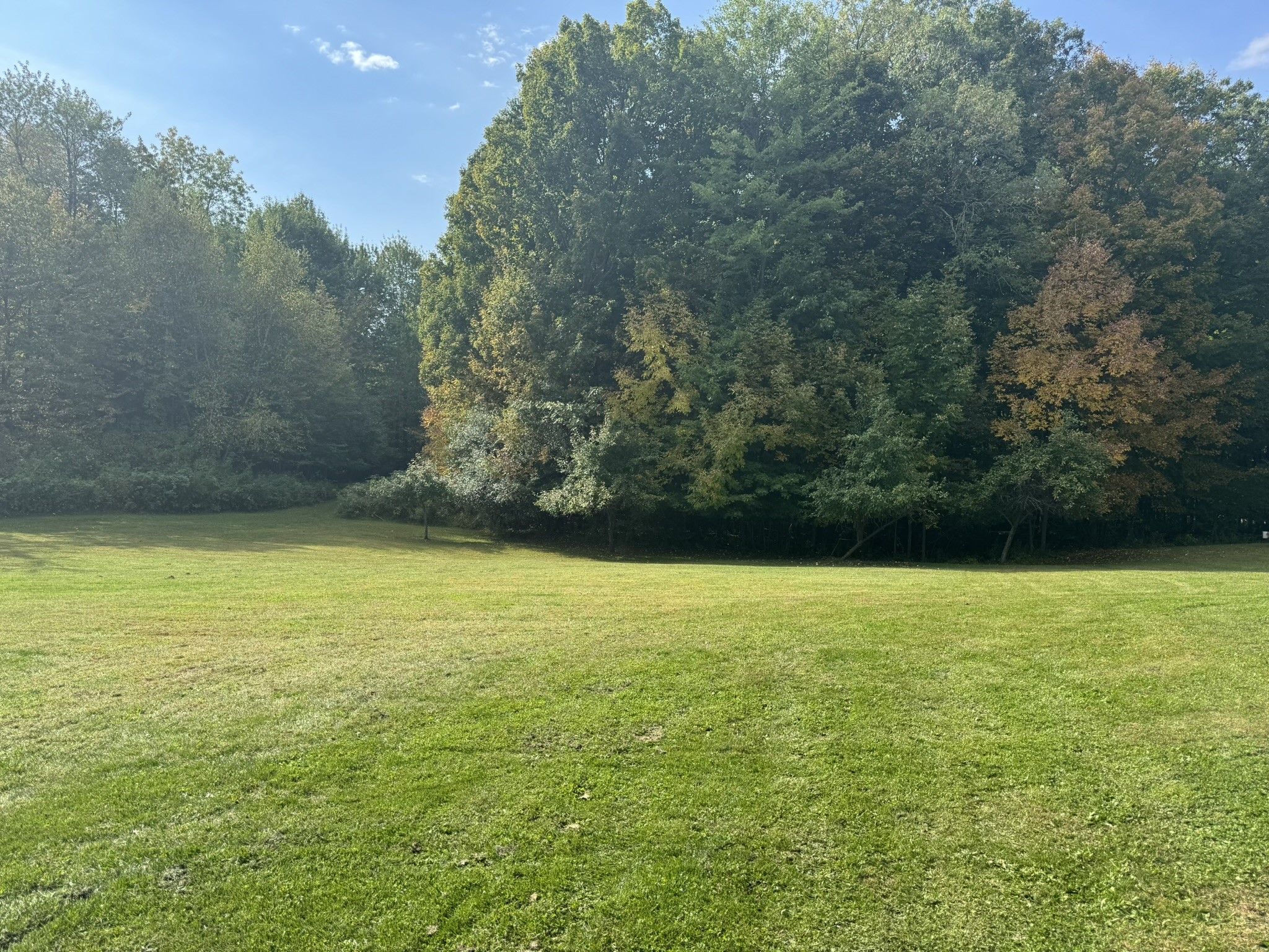 1449 3 1/2 Avenue Dallas WI 54733 1601725 image5