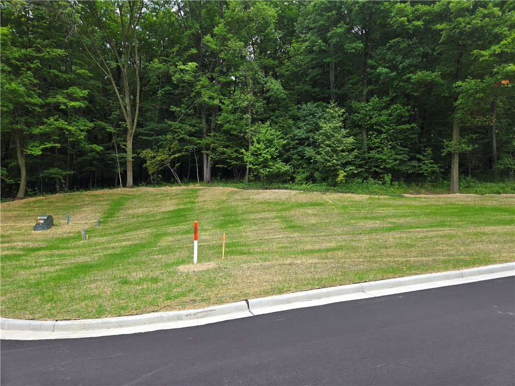 1449 Sykora Lane Boyceville WI 54725 1594568 image1