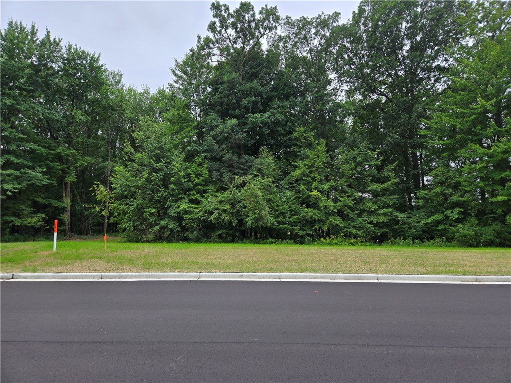 1454 Sykora Lane Boyceville WI 54725 1594579 image1