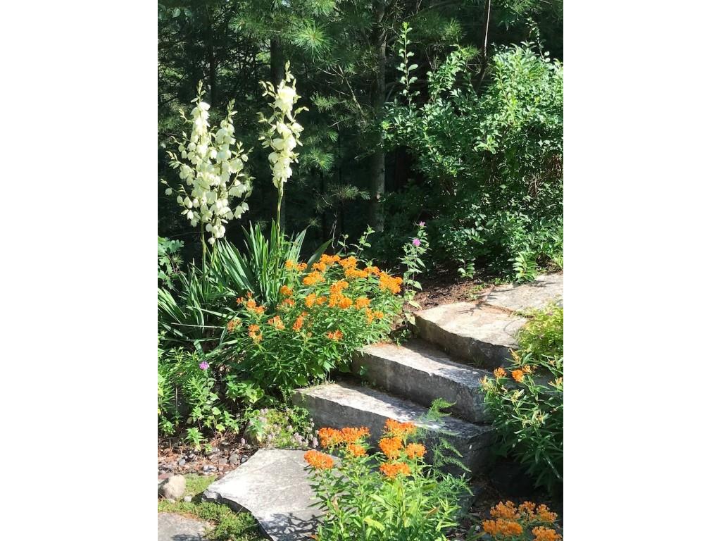 14561W Point Drive Hayward WI 54843 - Spring 1593287 image43