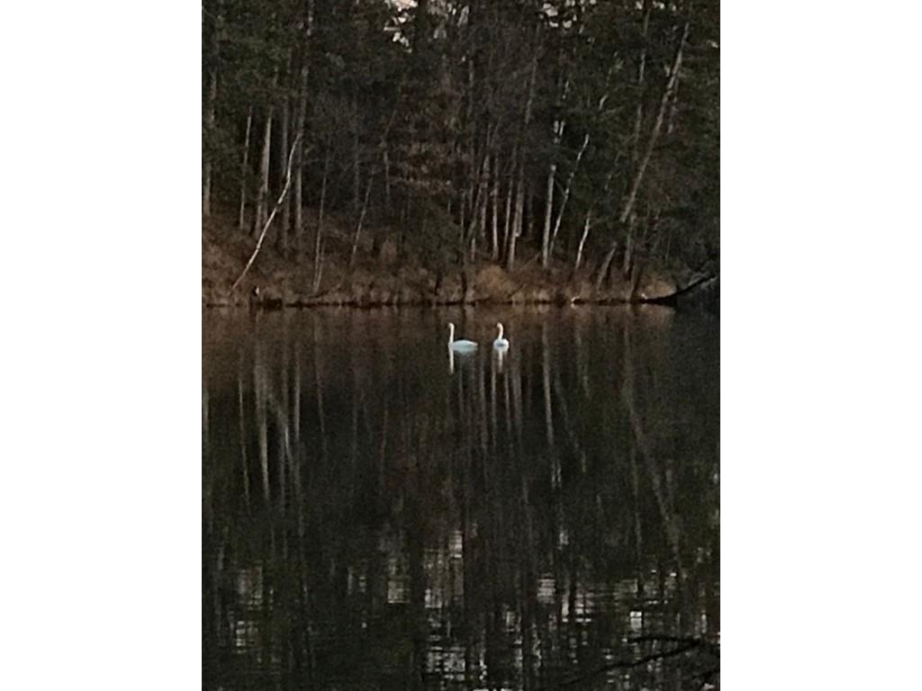 14561W Point Drive Hayward WI 54843 - Spring 1593287 image51