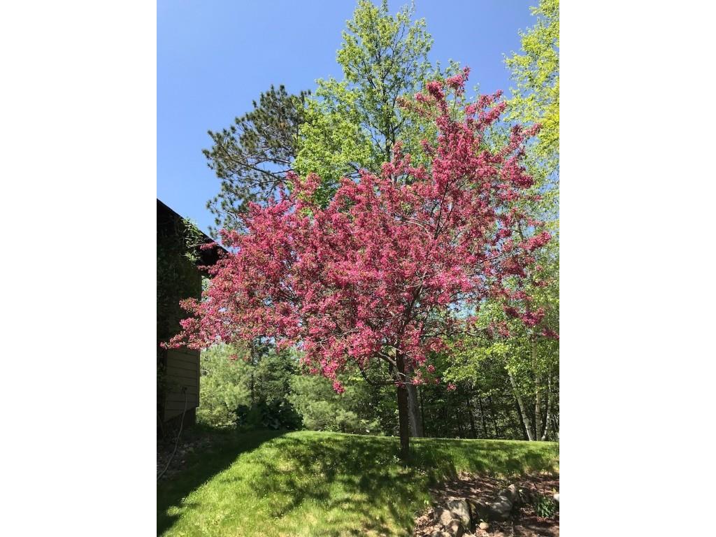 14561W Point Drive Hayward WI 54843 - Spring 1593287 image53