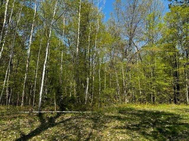 14576 W Birken Trail Road Hayward WI 54843 1573361 image1