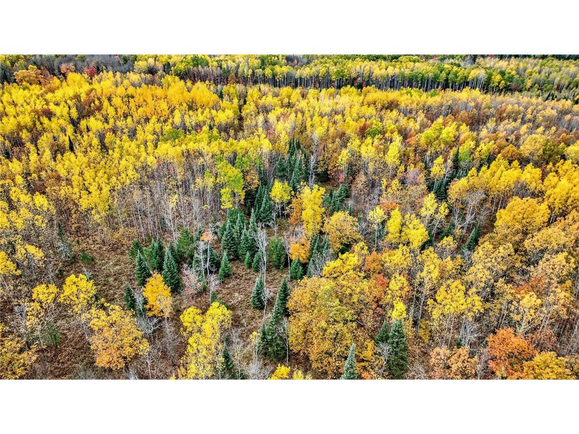 1495 Bain Road Brule WI 54820 1596505 image45