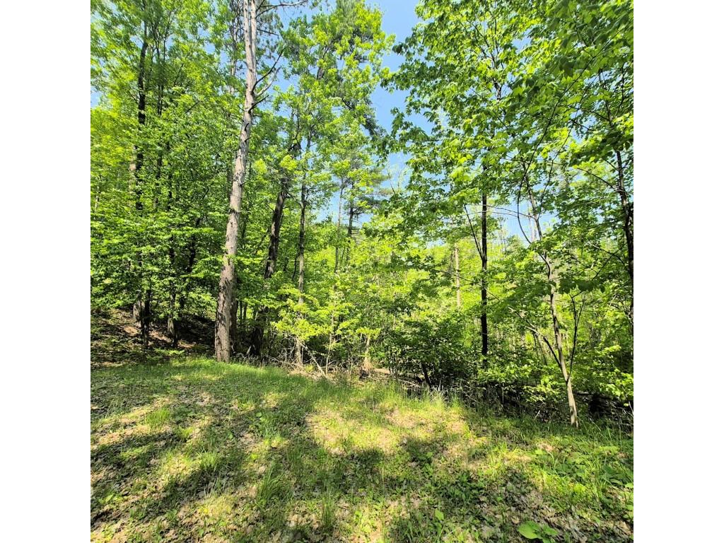 14954 W Goss Road Hayward WI 54843 - Grindstone Lake 1599072 image32