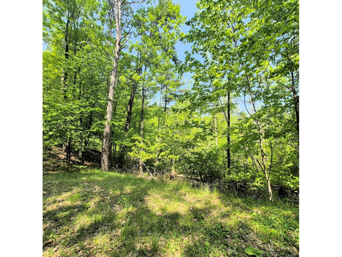 14954 W Goss Road Hayward WI 54843 - Grindstone Lake 1599076 image8